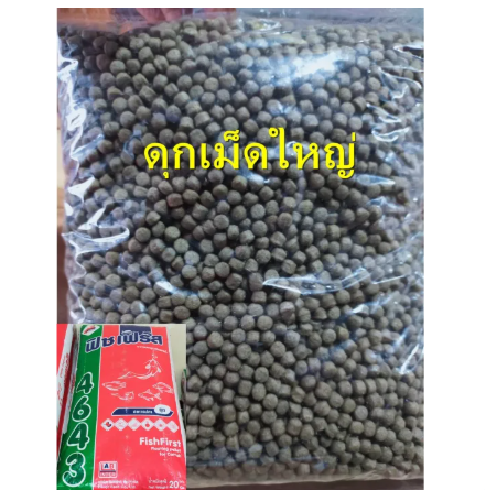 อาหารปลาดุกเม็ดใหญ่ 2