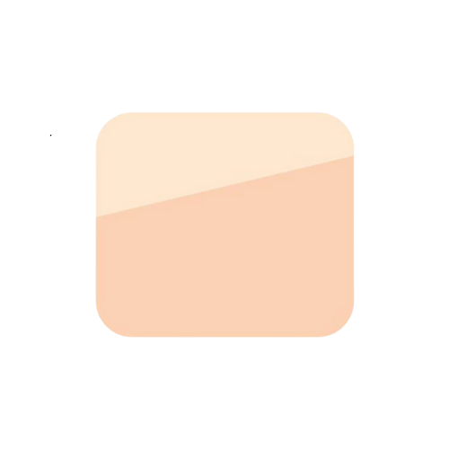 Pristine Complexion Powder Foundation 2