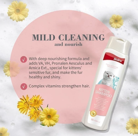 Kitten Cat Shampoo 2