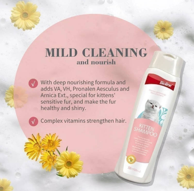Kitten Cat Shampoo 2