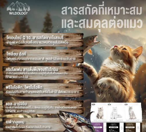 อาหารแมว Wildology Major Hunter 3