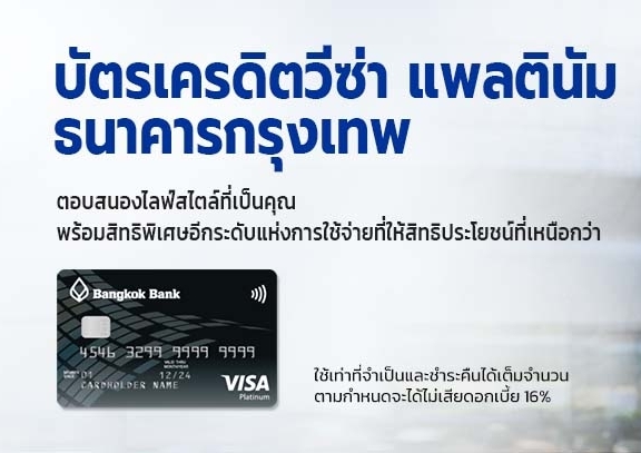 Visa Platinum Credit Card 2