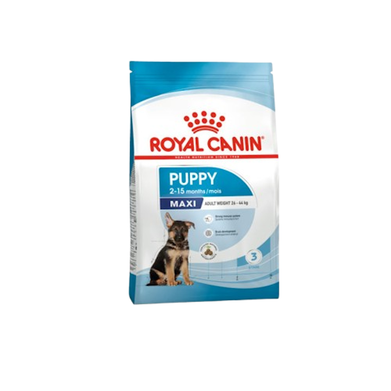 Maxi Puppy 1