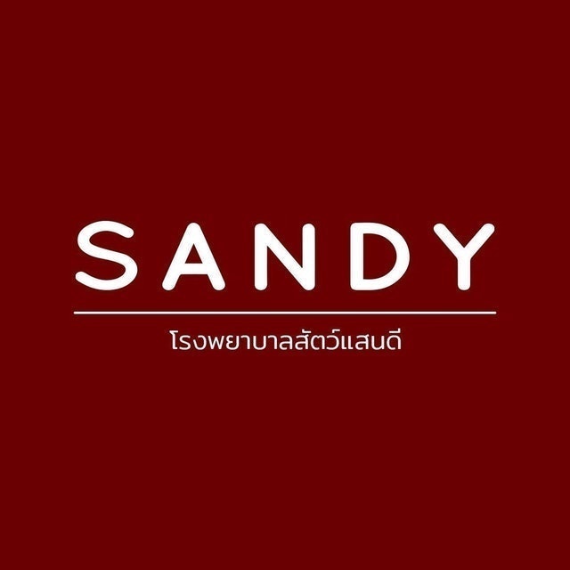 ตรวจสุขภาพแมว โรงพยาบาลสัตว์แสนดี 1