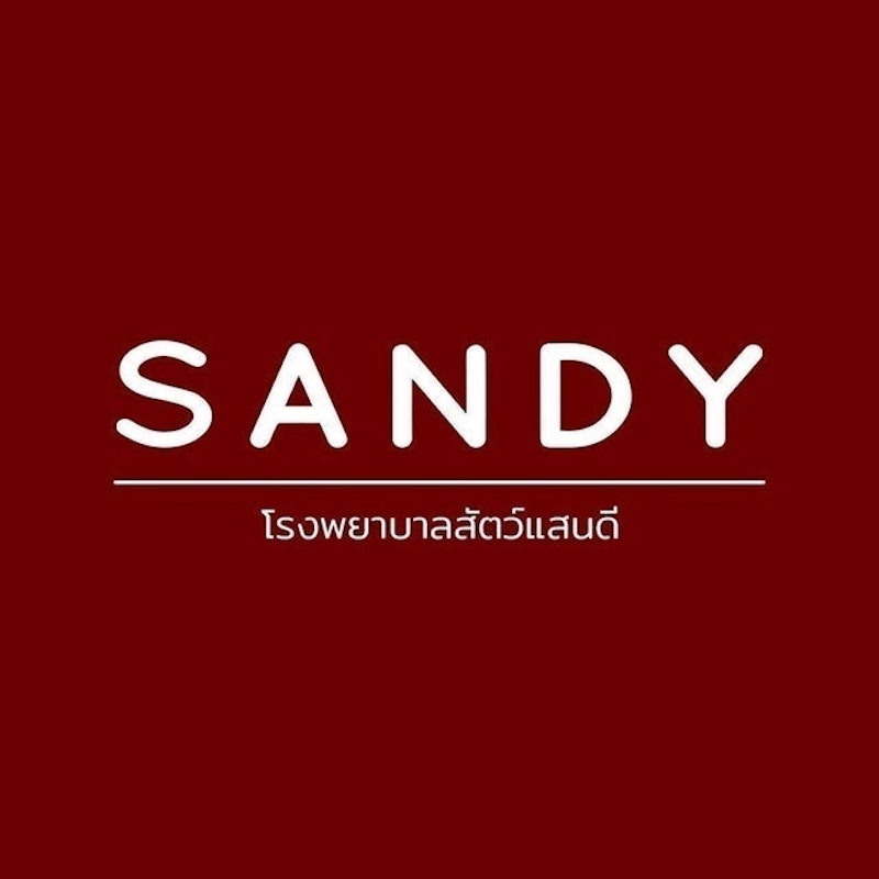 ตรวจสุขภาพแมว โรงพยาบาลสัตว์แสนดี 1