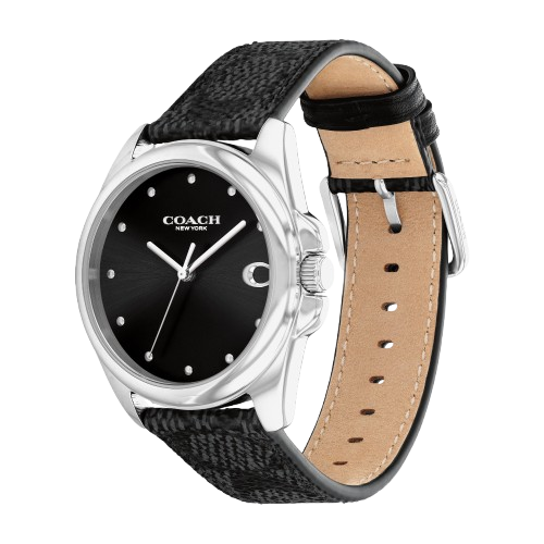 Women's Watch Greyson 2