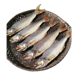ปลากุเลาเค็มตากใบ
