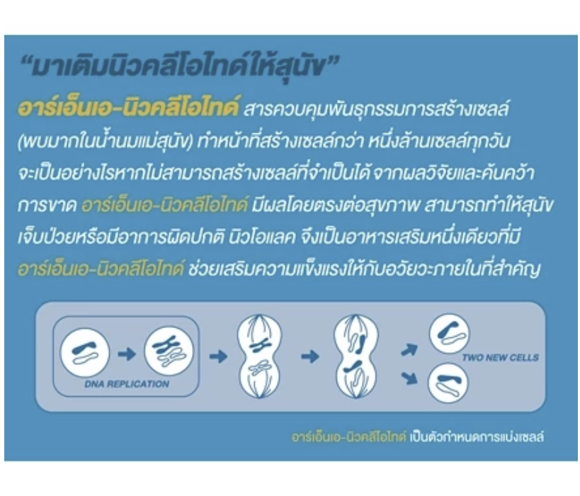 อาหารสุนัข สูตรโรคตับ ไต บำรุงหัวใจ 2