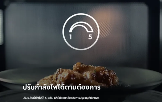 เตาอบไมโครเวฟ 3