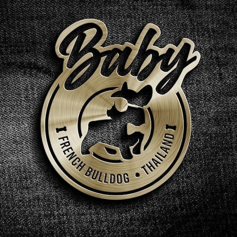 ฟาร์มสุนัข Baby French Bulldog Thailand 1