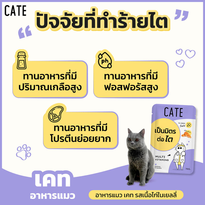อาหารเปียกแมว สูตรเป็นมิตรต่อไต 3