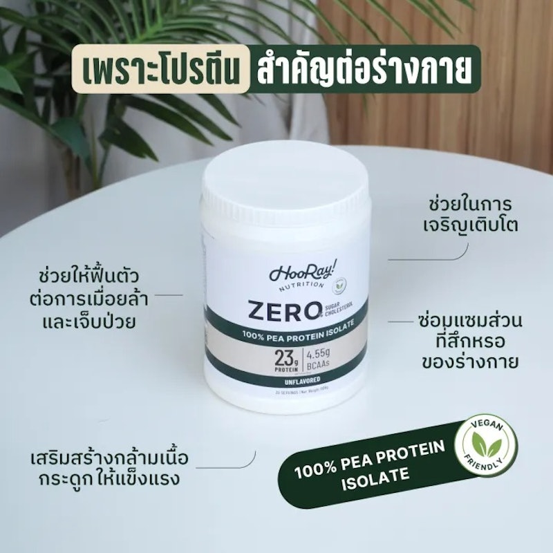 โปรตีนพืช PEA Protein Isolate 2