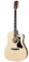Gibson กีตาร์โปร่งไฟฟ้า G-Writer EC 1
