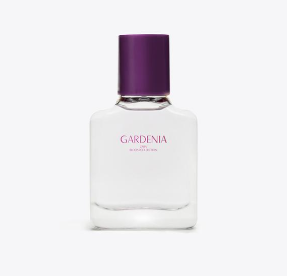 Gardenia 2