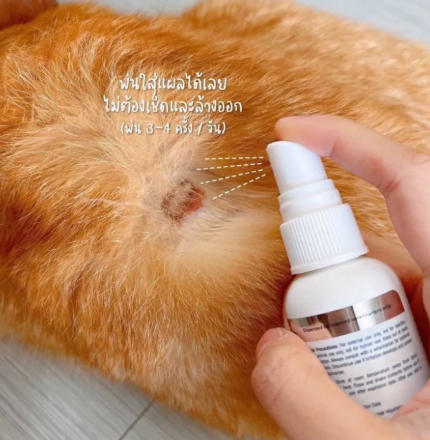 สเปรย์พ่นผิวหนัง ชนิดน้ำ Plus VF Wound & Skin Cleanser 3