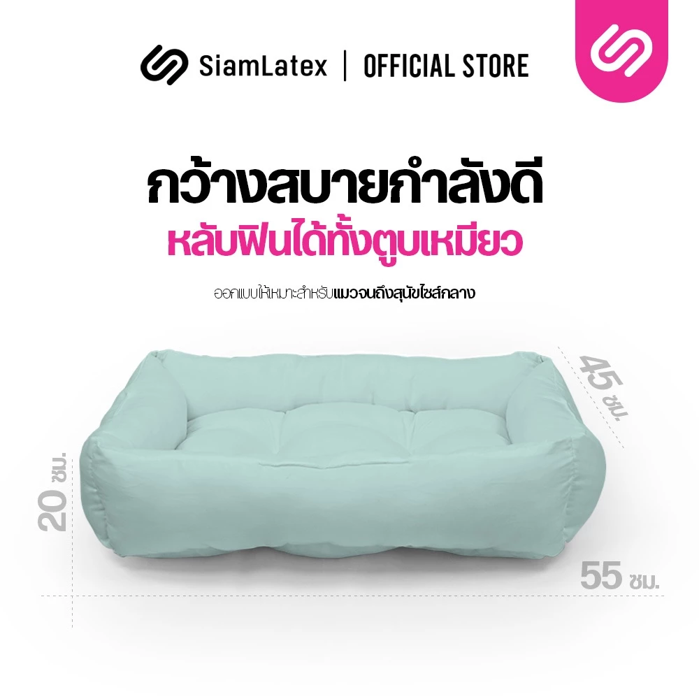 เบาะแมว รุ่น Buds 3