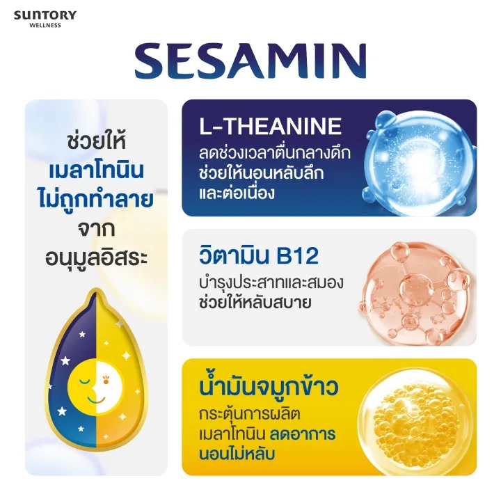 SESAMIN NIGHT TIME 2