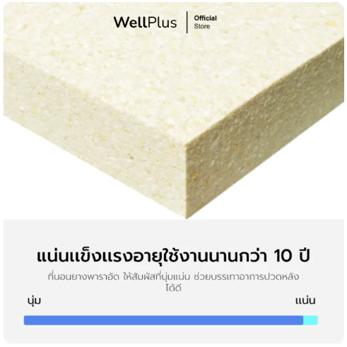ที่นอนยางพาราอัดแน่น รุ่น MELODY 2