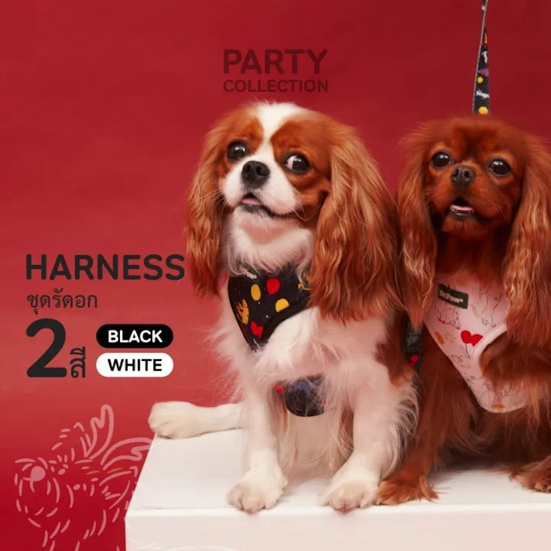 Dog & Cat Harness Collection Black & White 2