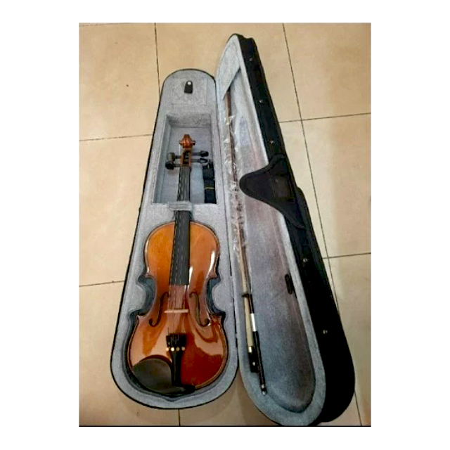 ไวโอลิน Violin 2