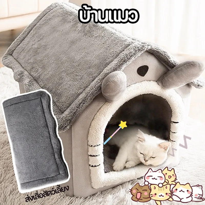 บ้านแมว 2
