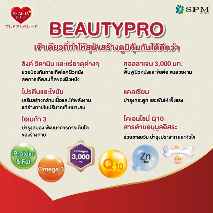 อาหารเม็ดสุนัข Holistic สูตร Fit 3