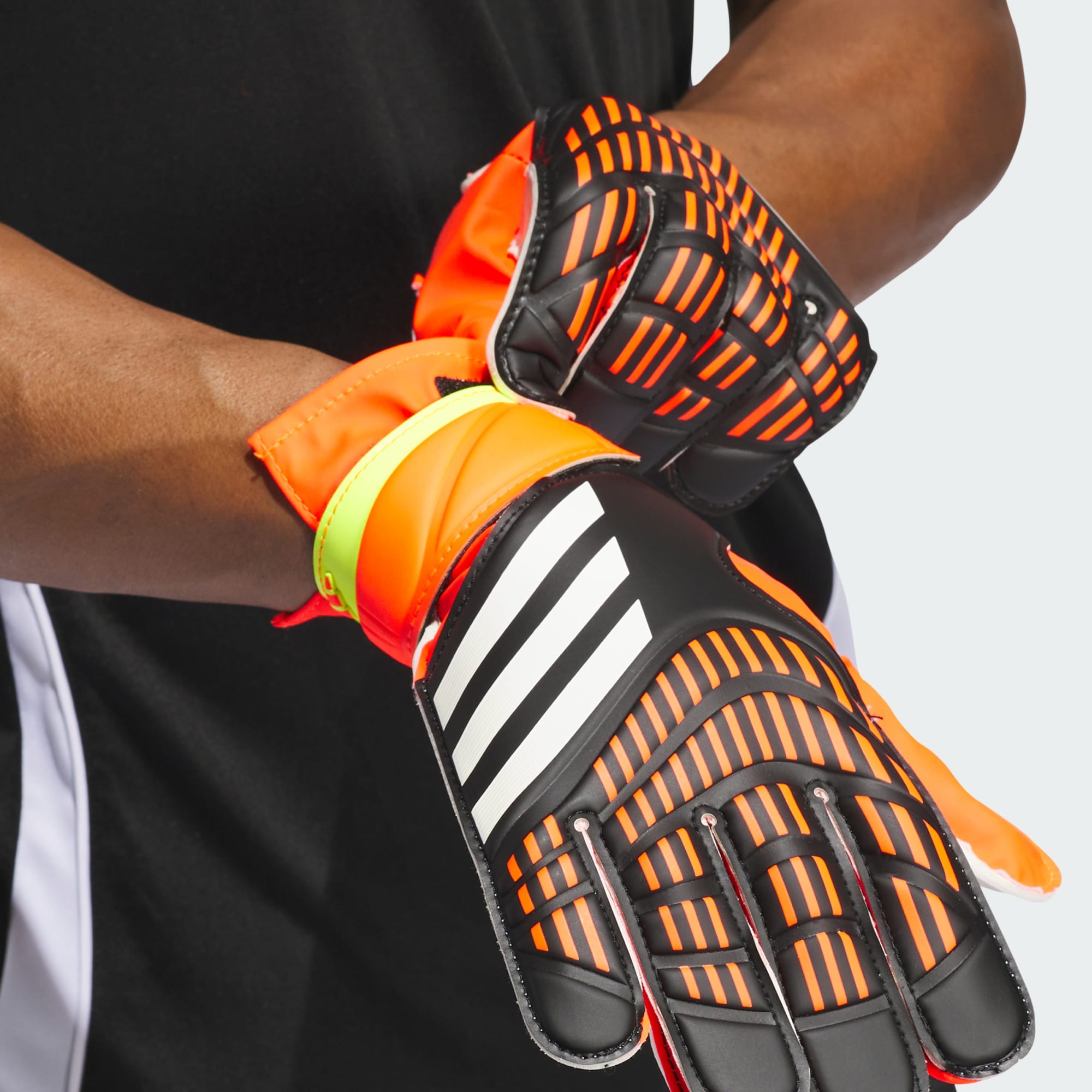 Goal Gloves Predator TRN  3
