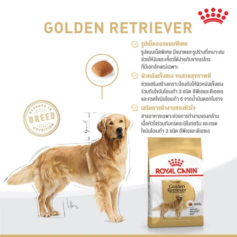 Golden Retriever Adult อาหารเม็ดสุนัขโต 3