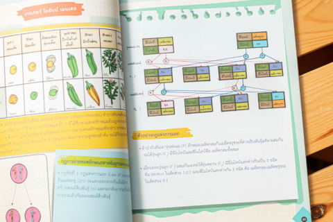 หนังสือชีวะ ม.ปลาย Drawing Of Biology ภาพจำ ชีววิทยา 3