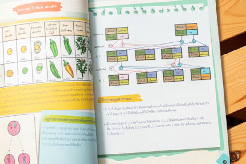หนังสือชีวะ ม.ปลาย Drawing Of Biology ภาพจำ ชีววิทยา 3