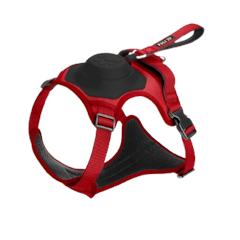 2in1 Pet Harness with Built - In Leash