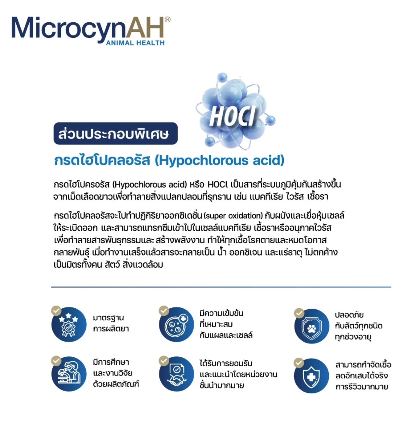 สเปรย์ดูแลผิวหนังสัตว์เลี้ยง Wound & Skin Care Spray  3