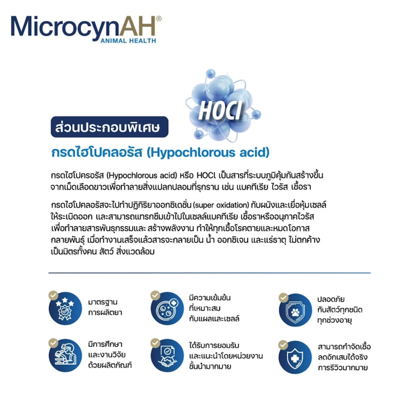 สเปรย์ดูแลผิวหนังสัตว์เลี้ยง Wound & Skin Care Spray 3