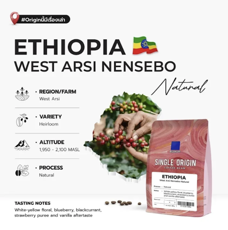 Ethiopia Arabica 3