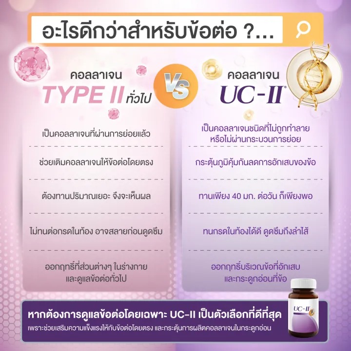 Collagen Type II  คอลลาเจน ไทพ์ 2 3