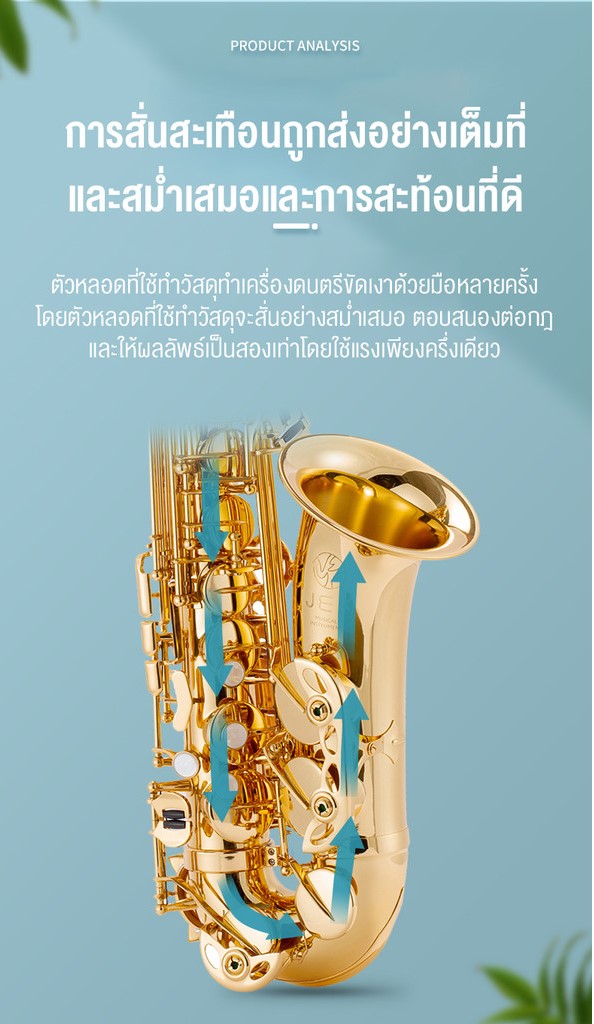 แซ็กโซโฟน Calvos SAX802 3