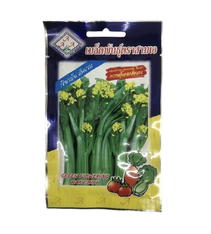 เมล็ดพันธุ์ผักกวางตุ้งดอกฮ่องกง 1