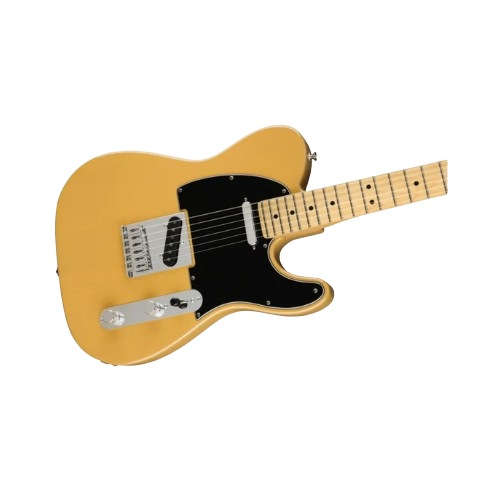 Player Tele MN Electric Guitar 1