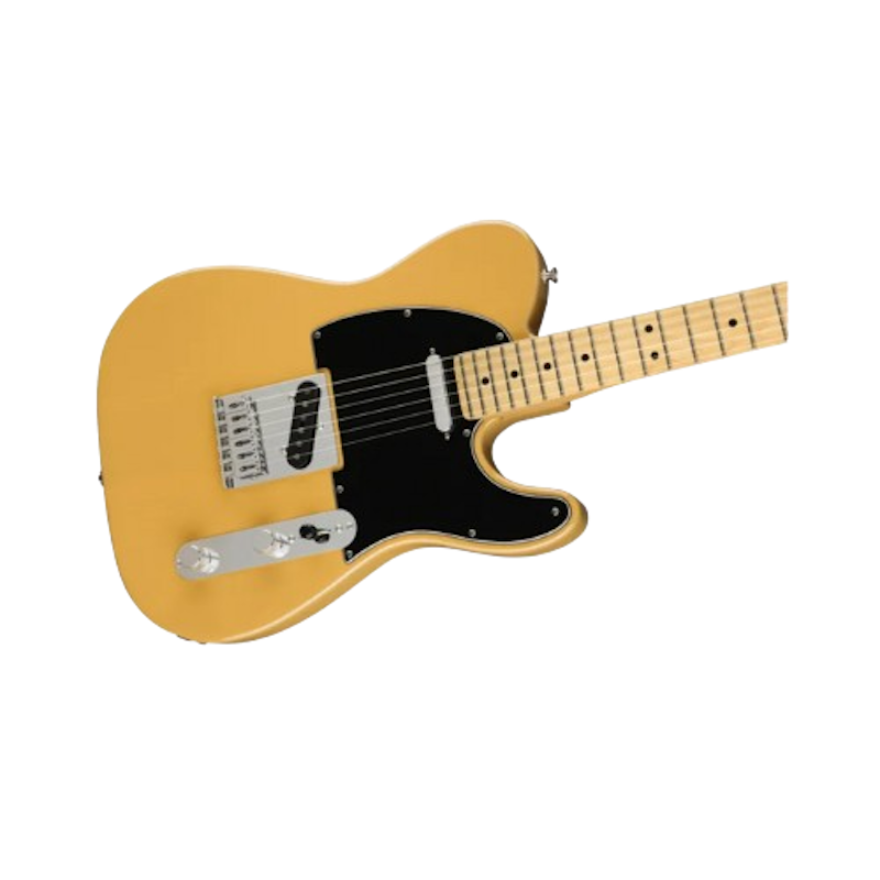 Player Tele MN Electric Guitar 1