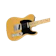 Fender Player Tele MN Electric Guitar 1