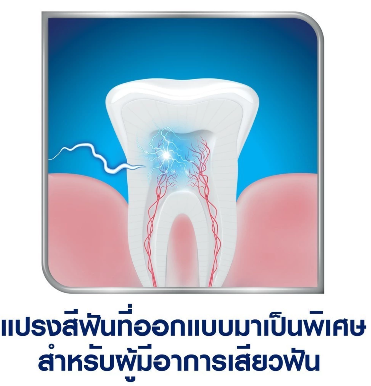  แปรงสีฟัน รุ่น ดีพคลีน  3
