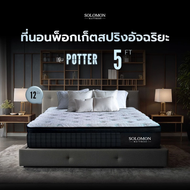 ที่นอนพ็อกเก็ตสปริง รุ่น POTTER 3