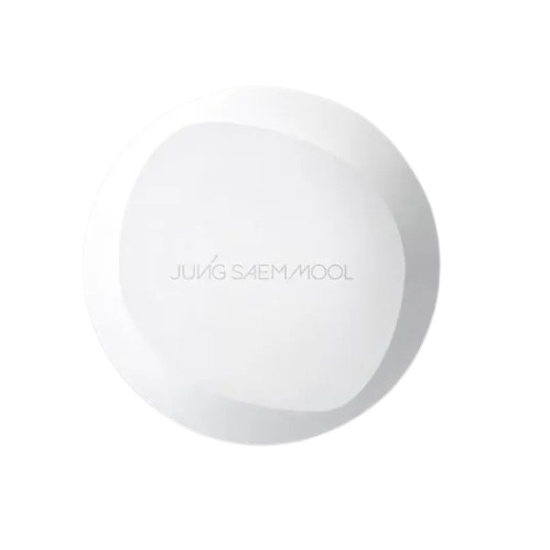Pro - Lasting Flawless Fit Mesh Cushion 2