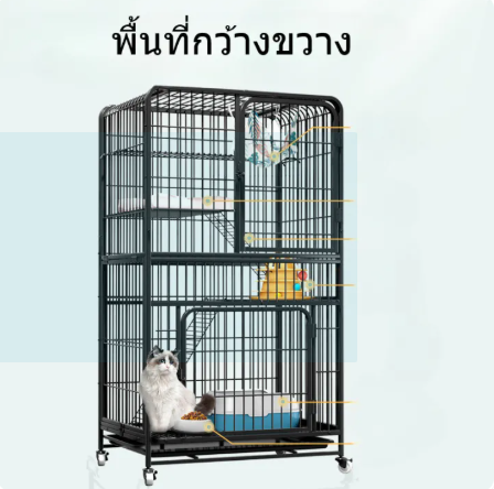 กรงแมว 2