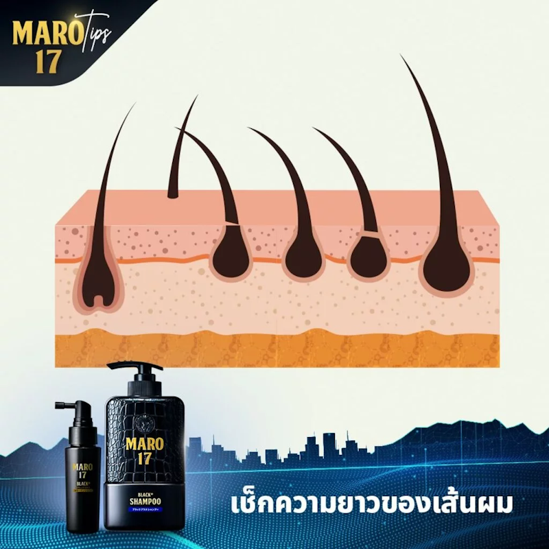 17 Black Plus Shampoo 2