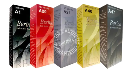ครีมเปลี่ยนสีผม สีเทาอ่อน A21 2