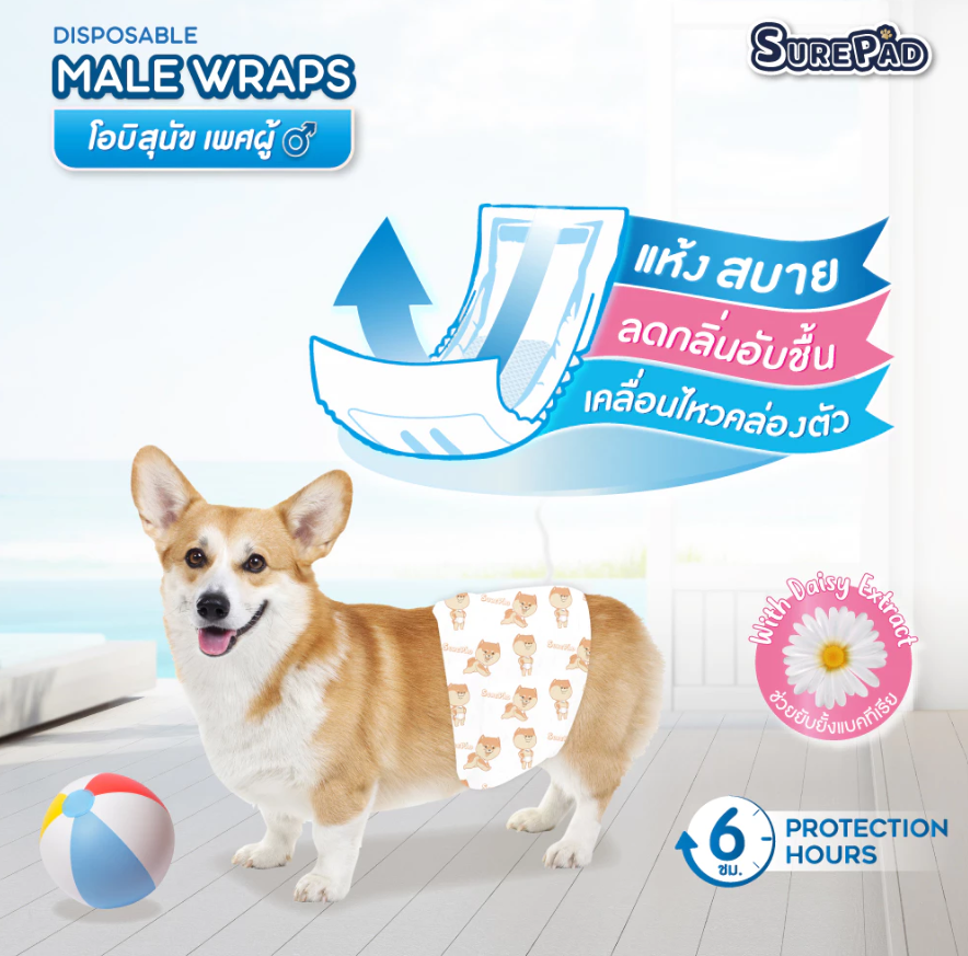 Disposable Male Wraps 2