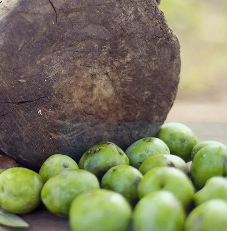 Olive Oil Extra Virgin from Sicily 3