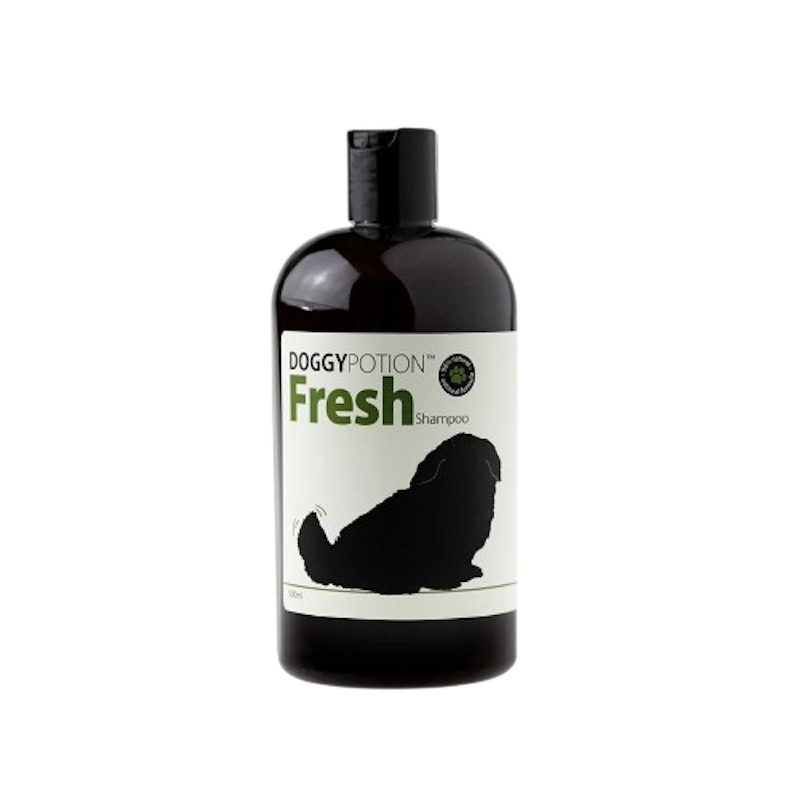 Fresh Shampoo 2