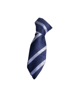 TIE Mens NECKTIE 1